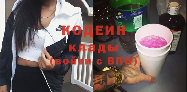мдпв Богородск