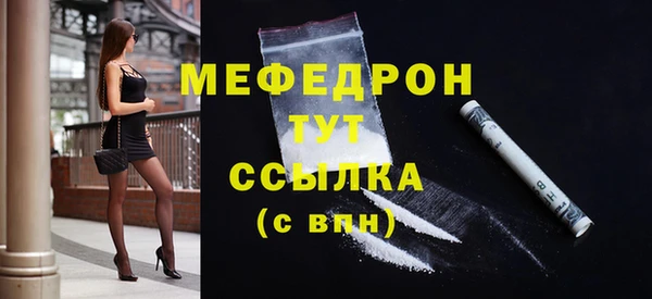 мдпв Богородск
