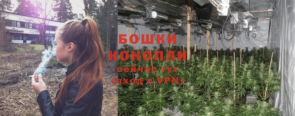 не бодяженный Богданович