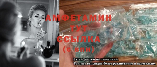 мдпв Богородск
