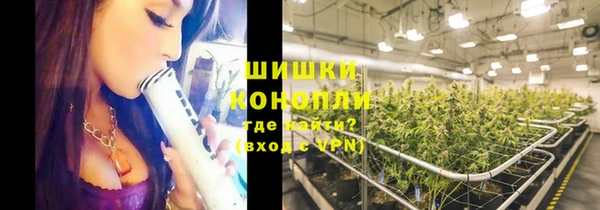 мдпв Богородск